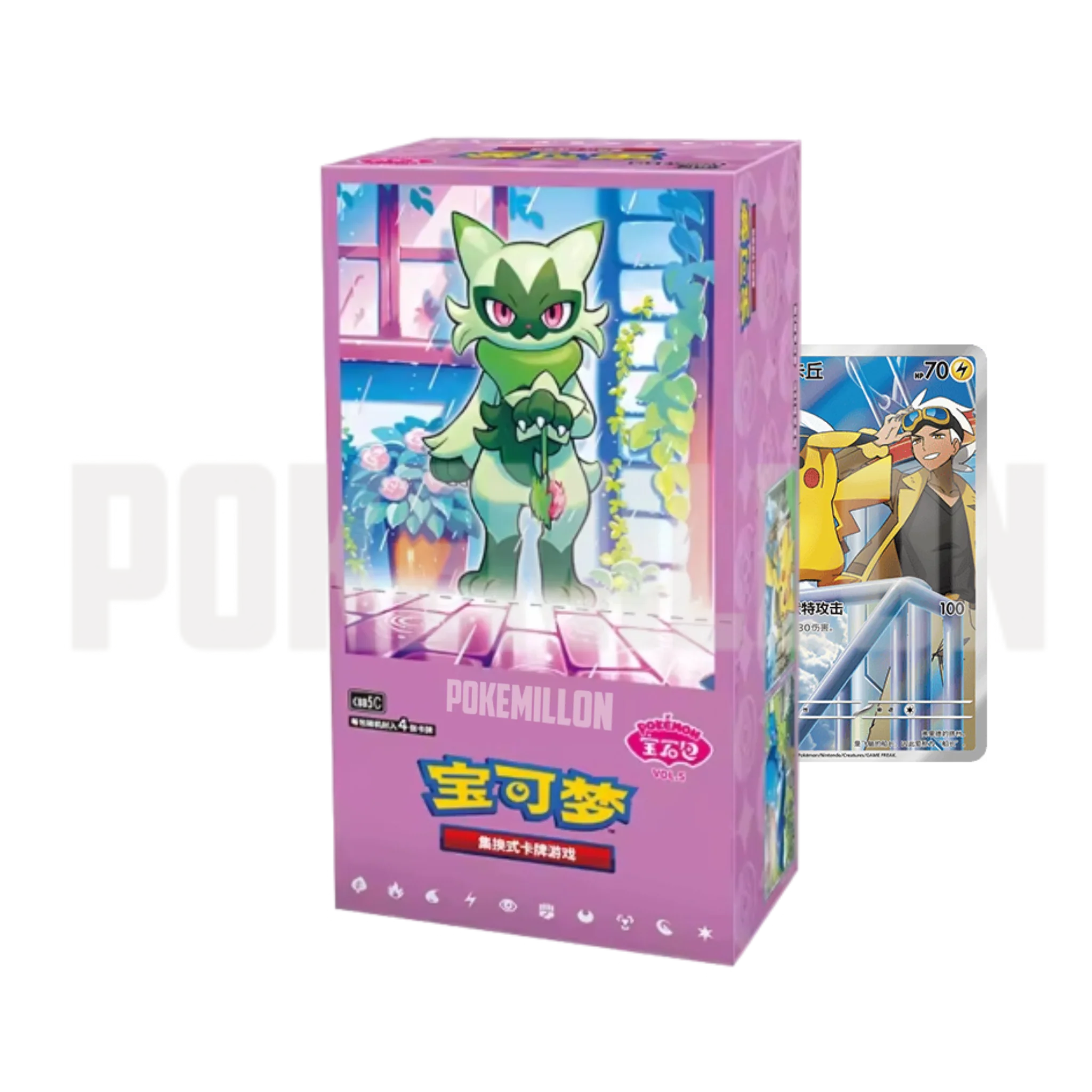 Miniatura 1